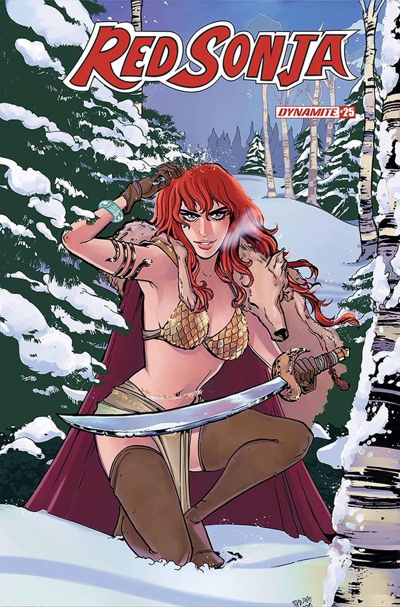 RED SONJA VOL 8 #25 CVR C ANWAR