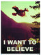 FIREFLY I WANT TO BELIEVE POSTER - Kings Comics