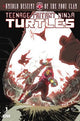 TMNT UNTOLD DESTINY OF THE FOOT CLAN (2024) #1 CVR B CIZMEIJA