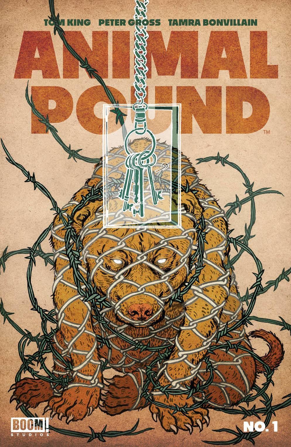 ANIMAL POUND (2023) #1 CVR B SHIMIZU - Kings Comics