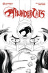 THUNDERCATS VOL 3 (2024) #1 CVR Q 10 COPY INCV SHALVEY LINE ART - Kings Comics