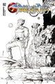 THUNDERCATS (2024) #2 CVR L 15 COPY INCV SHALVEY LINE ART