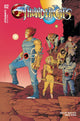 THUNDERCATS (2024) #2 CVR R 25 COPY INCV SHALVEY FOIL