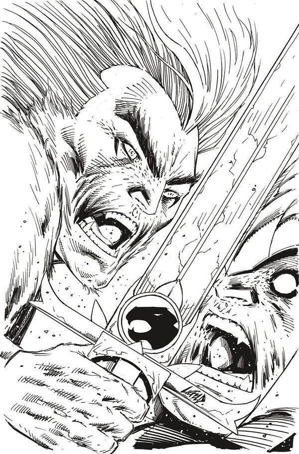 THUNDERCATS (2024) #2 CVR ZD 11 COPY FOC INCV LIEFELD B&W VIRGIN VAR