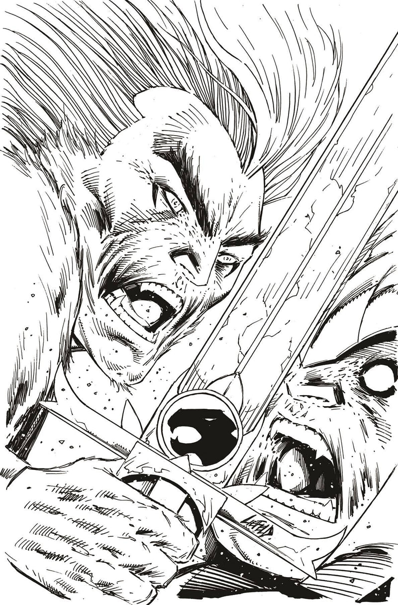 THUNDERCATS (2024) #2 CVR ZD 11 COPY FOC INCV LIEFELD B&W VIRGIN VAR