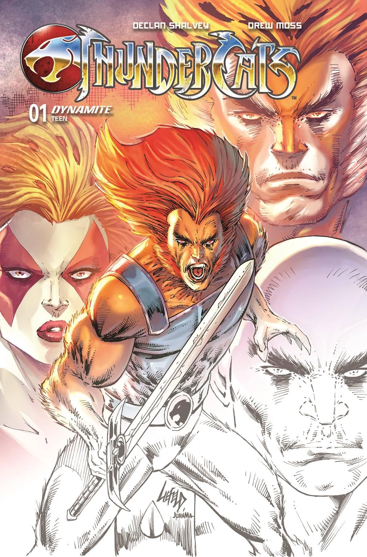 THUNDERCATS VOL 3 (2024) #1 2ND PTG CVR A LIEFELD - Kings Comics