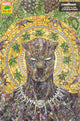 BLACK PANTHER VOL 7 #25 CASSARA STORMBREAKERS VAR