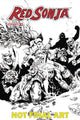 RED SONJA VOL 9 #11 CVR D LAU