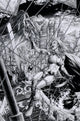 RED SONJA VOL 9 #3 CVR O 15 COPY FOC INCV ANACLETO B&W VIRG