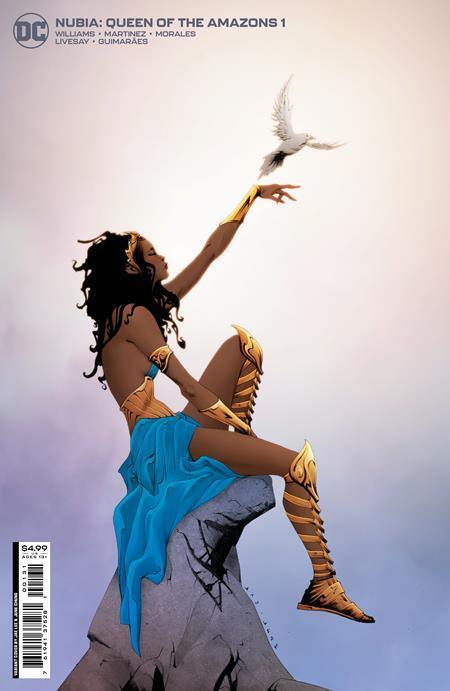 NUBIA QUEEN OF THE AMAZONS #1 CVR B JAE LEE CARD STOCK VAR