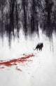ANIMOSITY #14