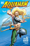 AQUAMAN TP BY PETER DAVID VOL 02 - Kings Comics