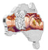 AUSTRALIAN MAP SHAPED COIN 2014 - KOALA 1oz SILVER COIN (SLIGHT TONING TO RAISED EDGE) - Kings Comics