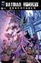 BATMAN TMNT ADVENTURES #5 - Kings Comics