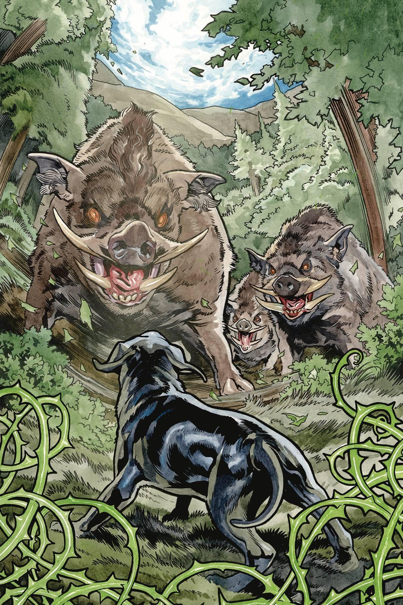BEASTS OF BURDEN #3 CVR A DEWEY