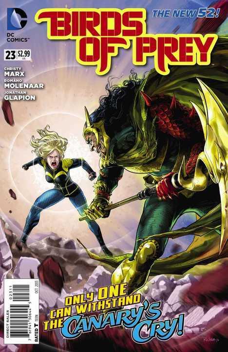 BIRDS OF PREY (2011) #23