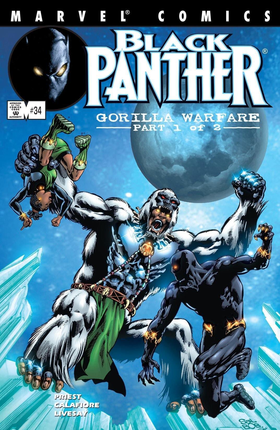 BLACK PANTHER VOL 3 #34 - Kings Comics