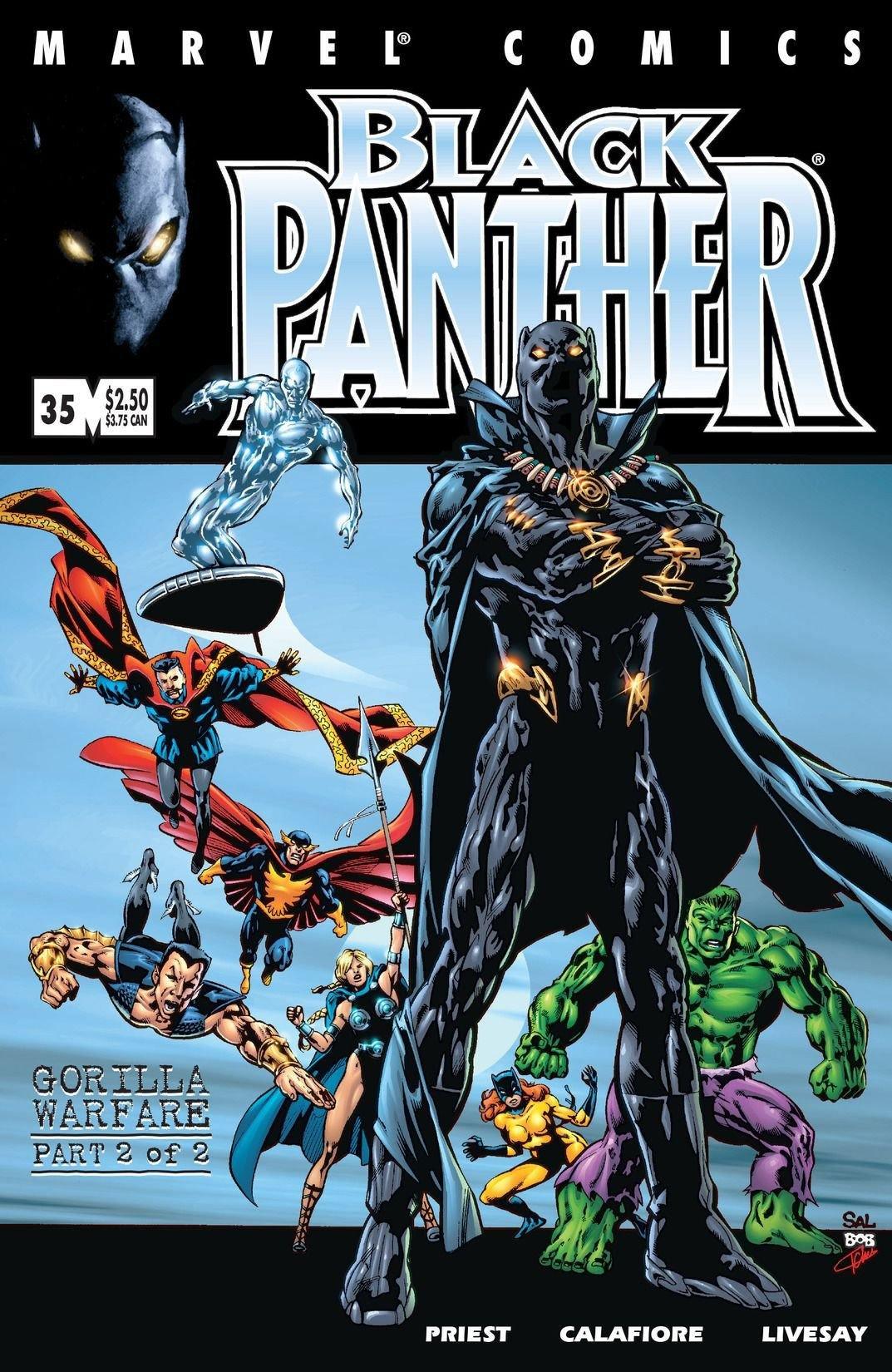 BLACK PANTHER VOL 3 #35 - Kings Comics