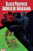 BLACK PANTHER WORLD OF WAKANDA #1 NOW - Kings Comics