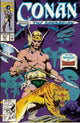 CONAN THE BARBARIAN (1970) #251