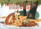 CALVIN & HOBBES THERES TREASURE EVERYWHERE