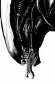 ALIEN VOL 2 (2022) #1 PX DCD 40TH CHAREST VIRGIN INKS VAR