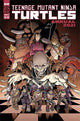 TEENAGE MUTANT NINJA TURTLES (2011) ANNUAL 2021 #1 CVR A CASEY MALONEY