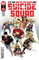 SUICIDE SQUAD VOL 6 #15 CVR A EDUARDO PANSICA