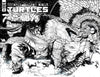TEENAGE MUTANT NINJA TURTLES (2011) #143 CVR D 25 COPY INCV SANCHEZ B&W