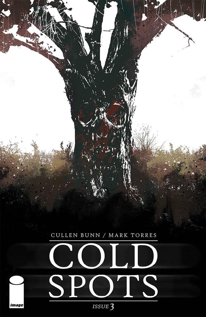 COLD SPOTS #3 CVR A TORRES