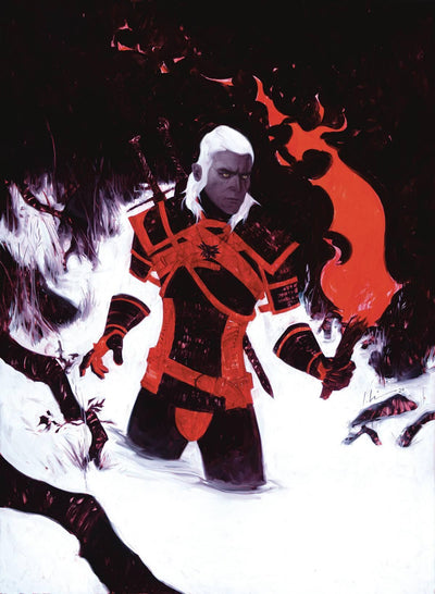 WITCHER FADING MEMORIES #4 CVR B JEREMY WILSON