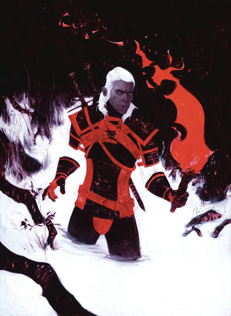 WITCHER FADING MEMORIES #4 CVR B JEREMY WILSON