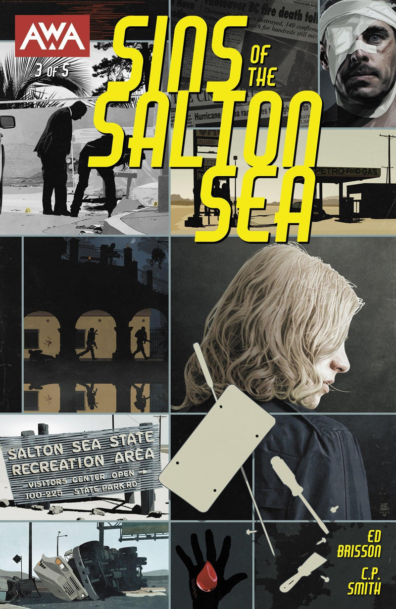 SINS OF THE SALTON SEA (2023) #3 CVR A TIM BRADSTREET