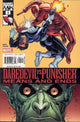 DAREDEVIL VS PUNISHER #2