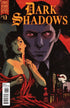 DARK SHADOWS VOL 2 #13 - Kings Comics