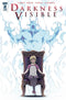 DARKNESS VISIBLE #2 - Kings Comics