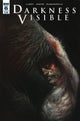 DARKNESS VISIBLE #6  CVR B KENDALL