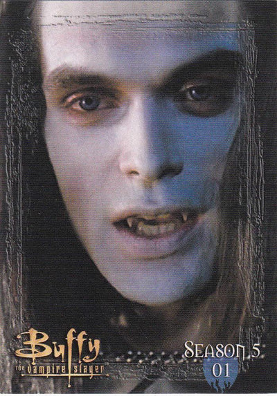 BUFFY THE VAMPIRE SLAYER THE STORY CONTINUES BASE CARD SET
