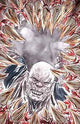 DESCENDER #18
