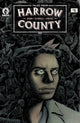 TALES FROM HARROW COUNTY FAIR FOLK #2 CVR A SCHNALL