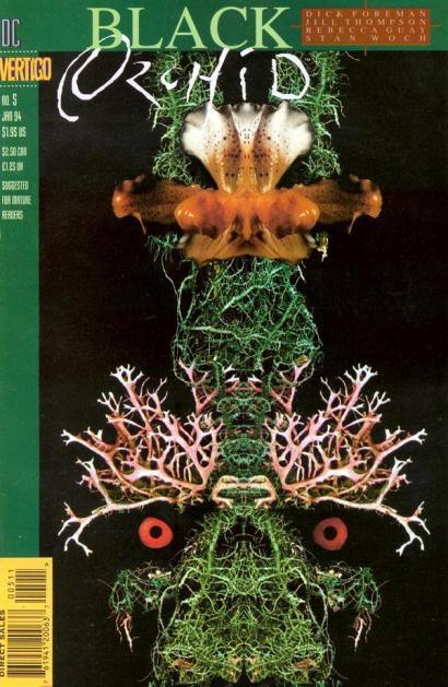 BLACK ORCHID #5 - Kings Comics