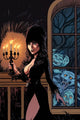 ELVIRA MISTRESS OF DARK #9 10 COPY CERMAK VIRGIN INCV