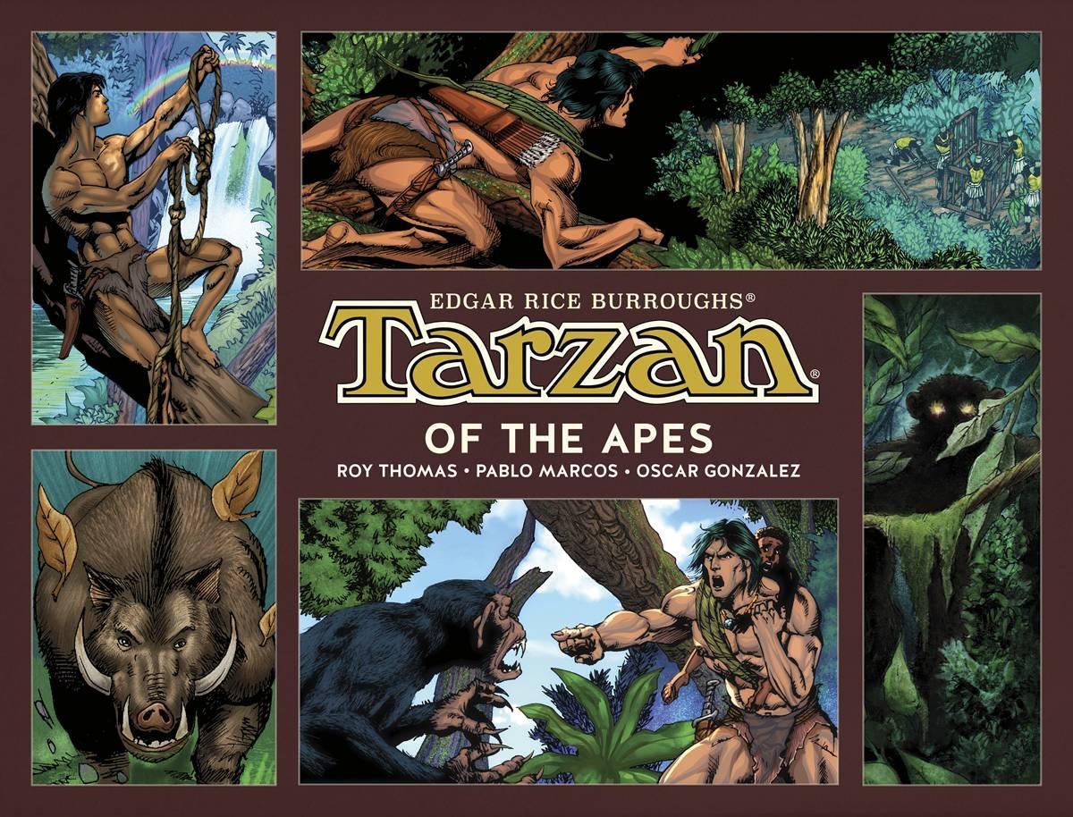 TARZAN OF THE APES HC VOL 01 - Kings Comics