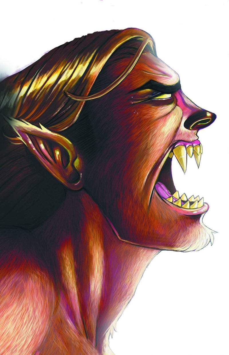 FABLES THE WOLF AMONG US #7