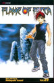 FLAME OF RECCA TP VOL 29