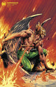 HAWKMAN VOL 5 #21 TREVOR HAIRSINE VAR ED