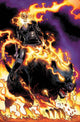 INFINITY WARS GHOST PANTHER #1