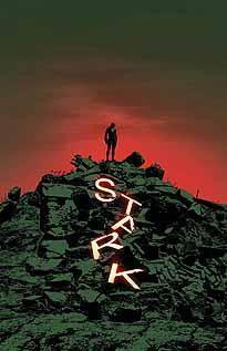 INVINCIBLE IRON MAN VOL 2 #12 CW2