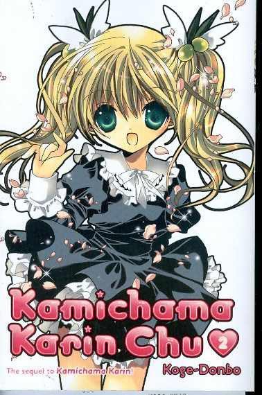 KAMICHAMA KARIN-CHU VOL 2 GN