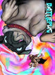 MIKE NORTONS BATTLEPUG HC VOL 03 SIT STAY DIE